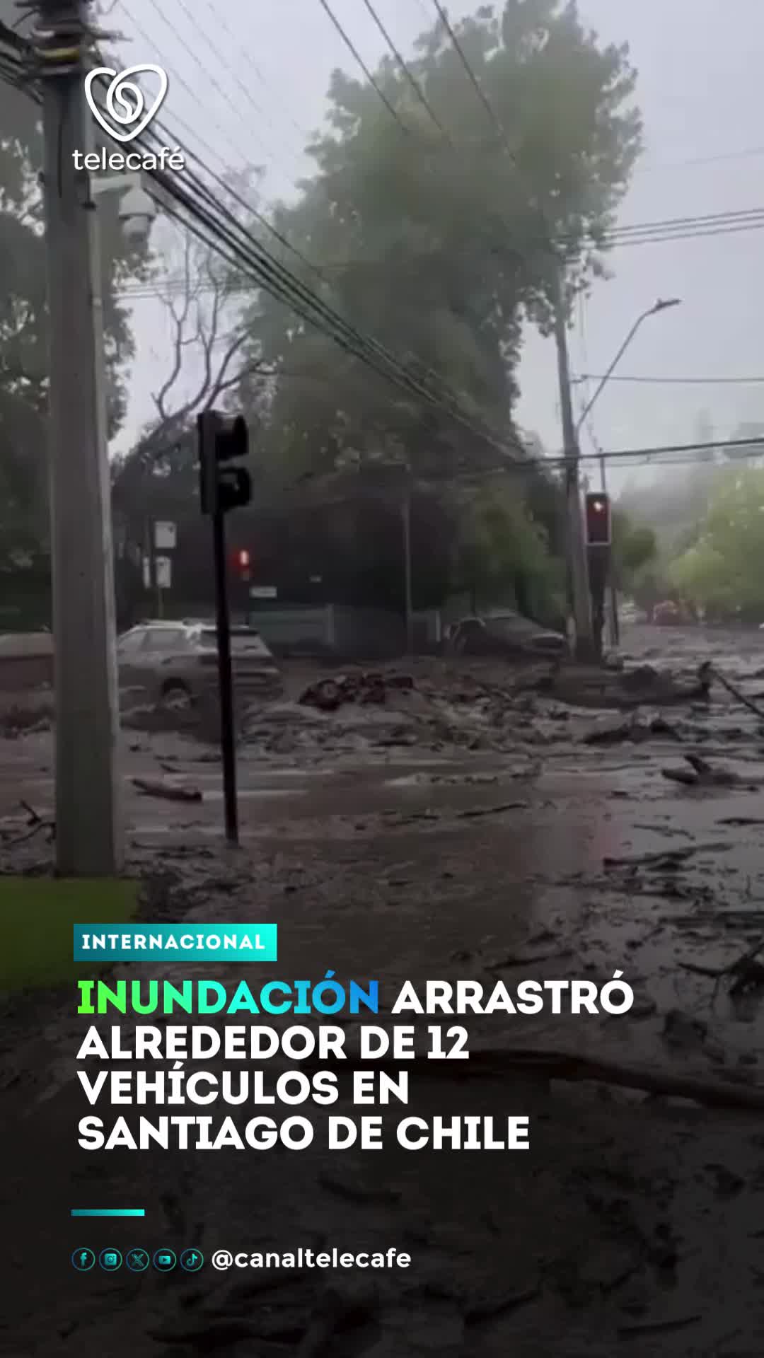 @Canal Telecafé