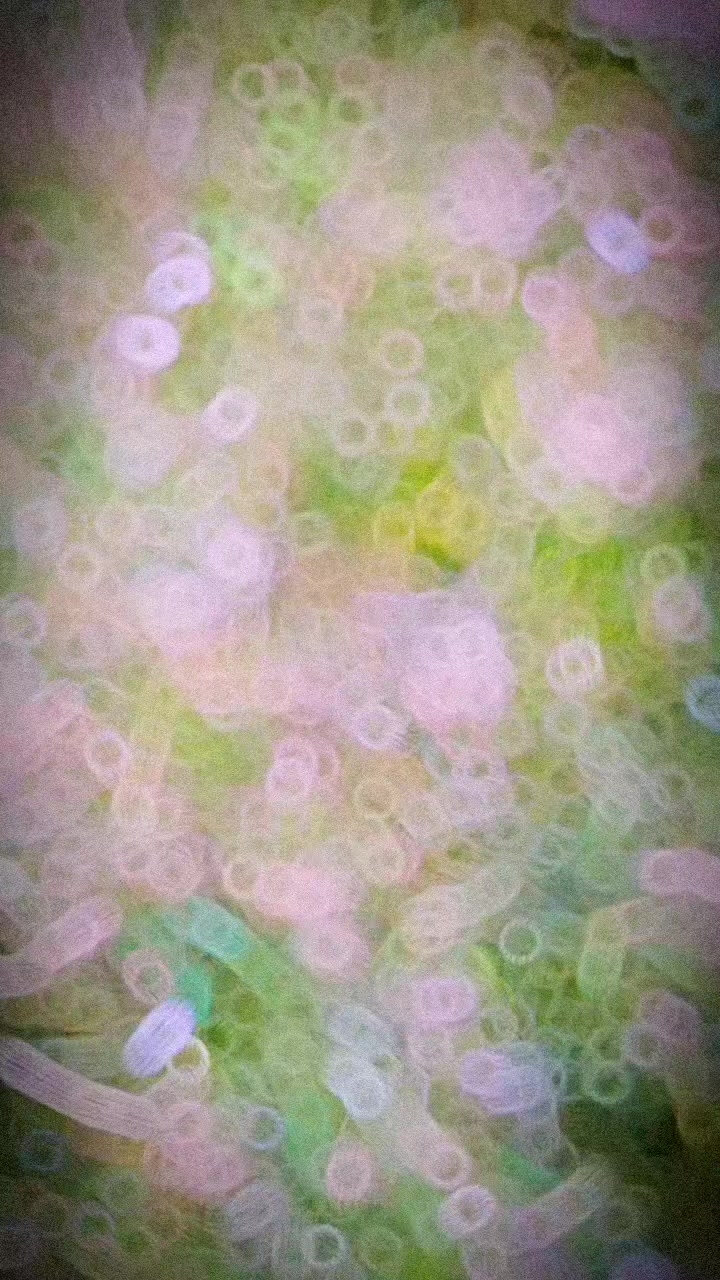 @D&ucirc;ᵣₗ&atilde;Bₕ ₖ&atilde;ₛₕY&acirc;ₚ(M&atilde;&ntilde;d&auml;l_Br&atilde;&ntilde;d)