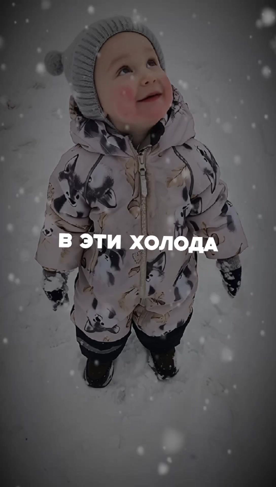 @Александр (Шурик)