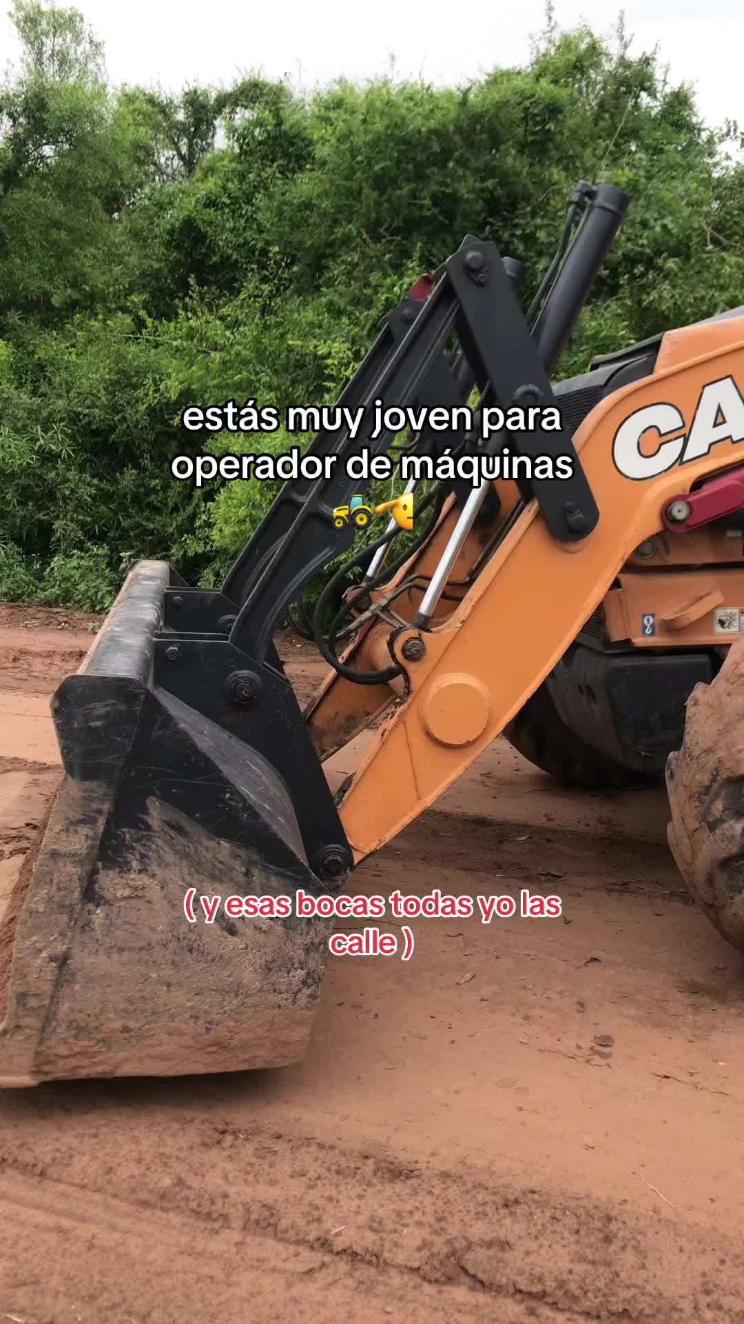 @alexis