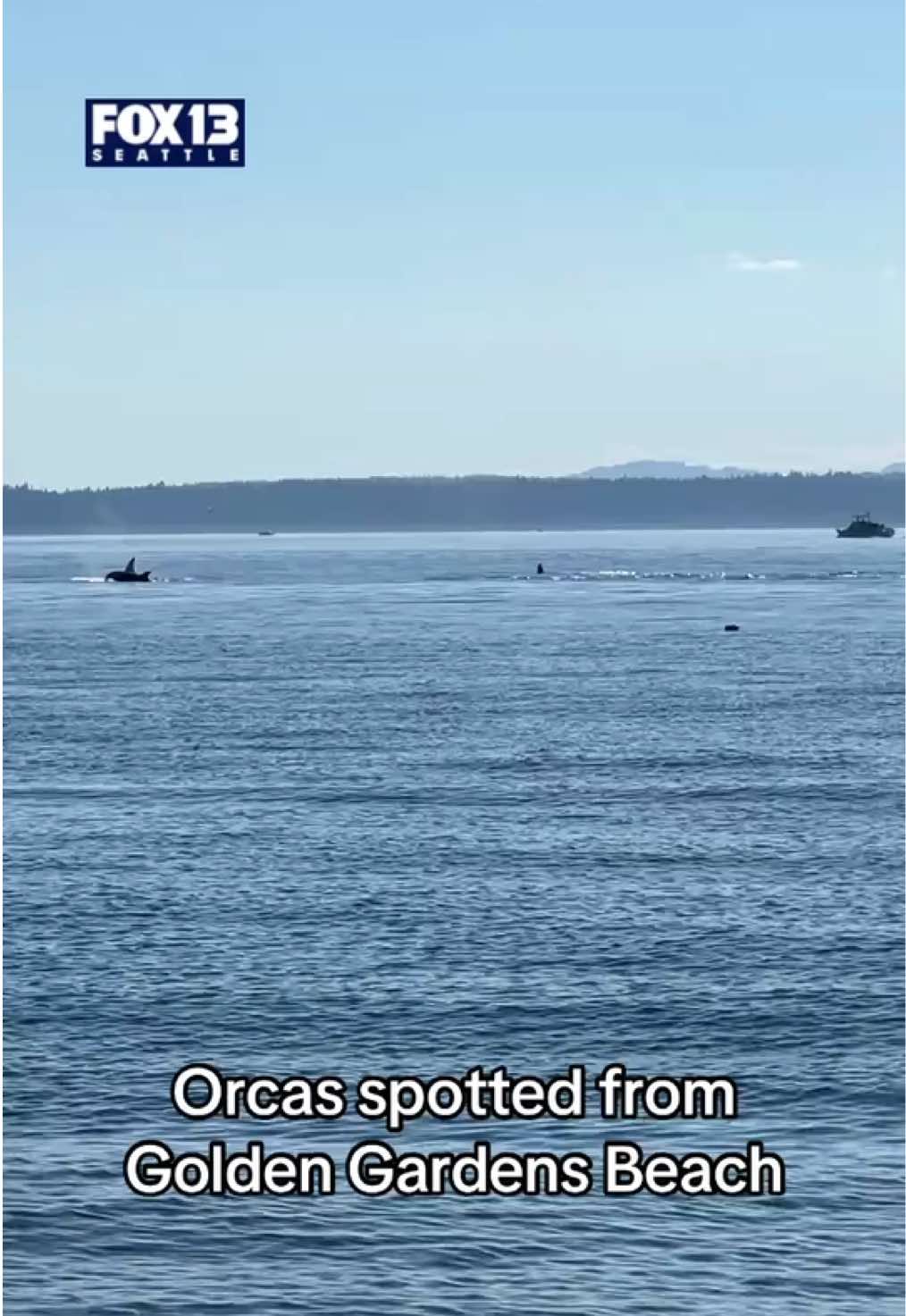 @FOX 13 Seattle