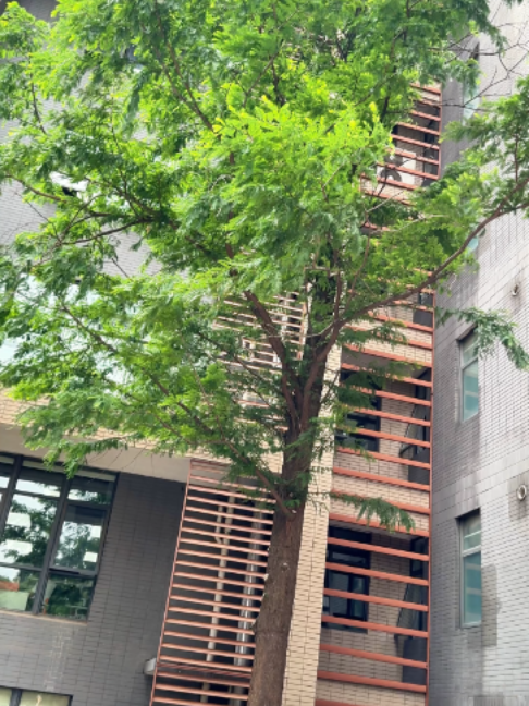 @weseecaseOfficial