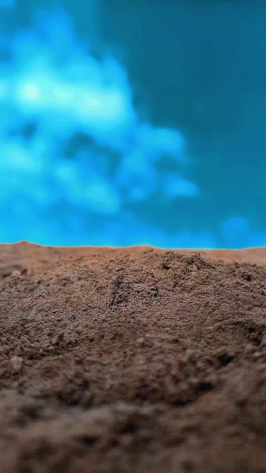 @â ïžðŸðððððŒðœððððððð
