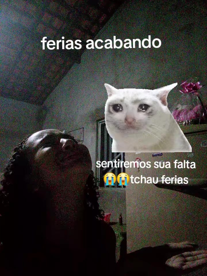 @vitorinha Alves