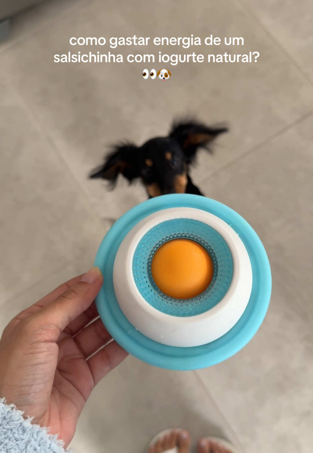 @Lorena Ramos