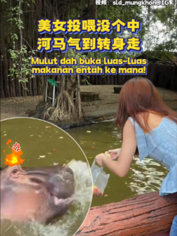 @中国报