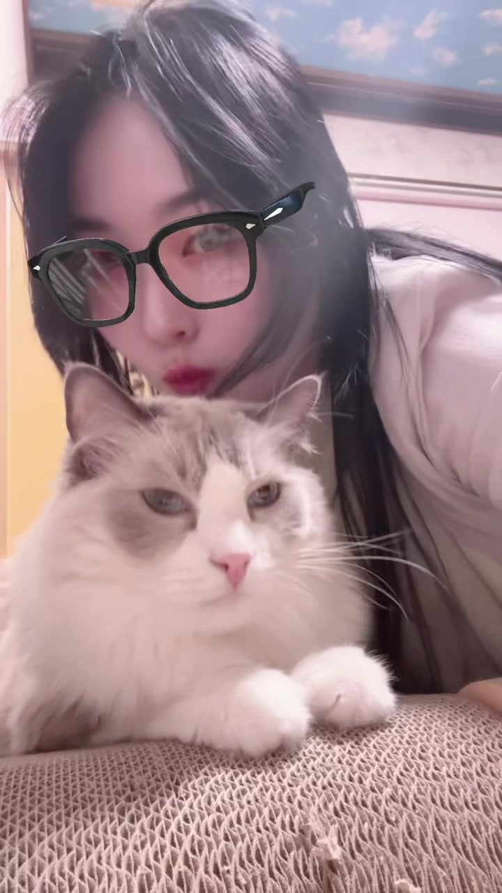 @neko🐾nyanko