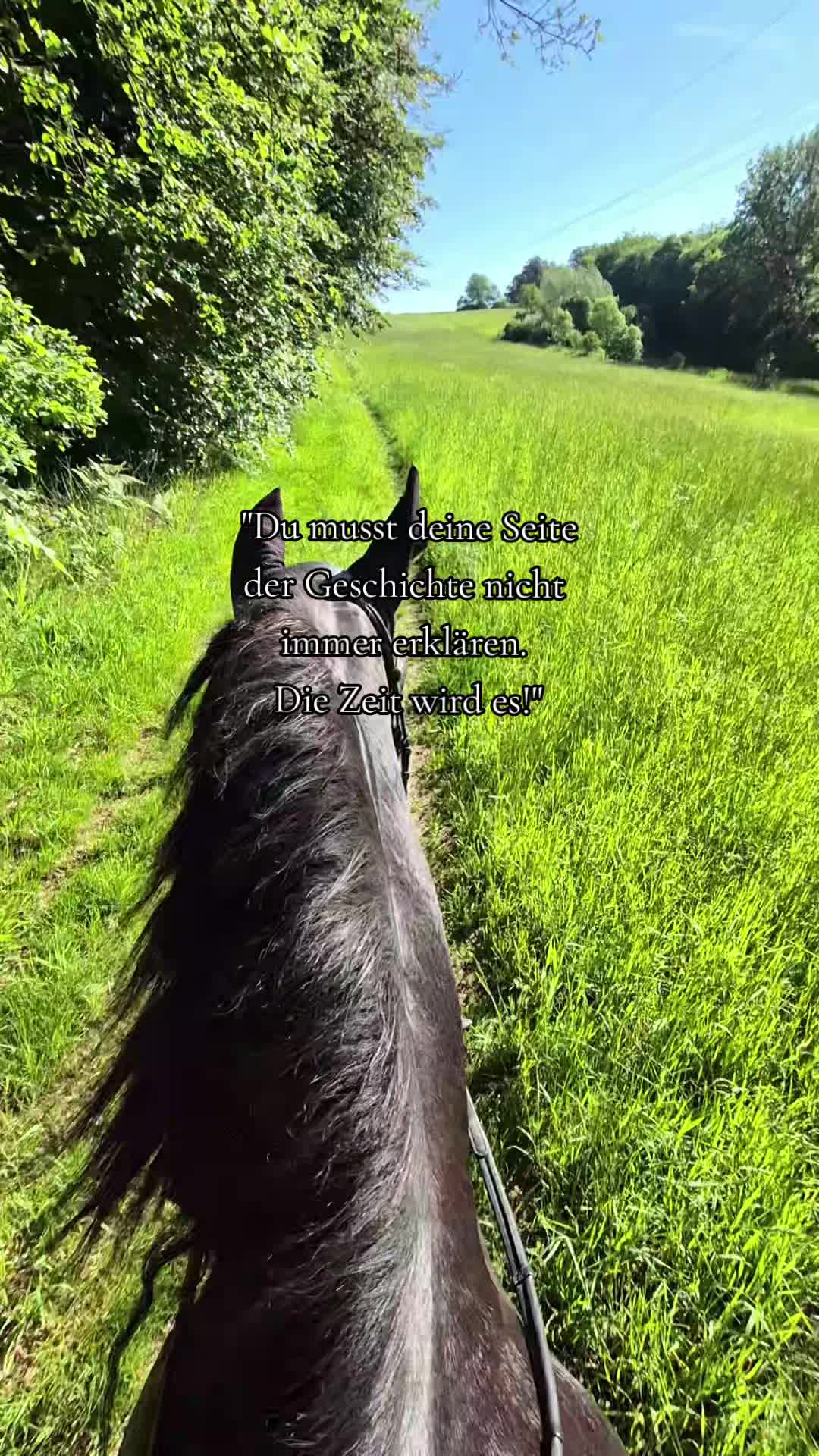 @Soñador
