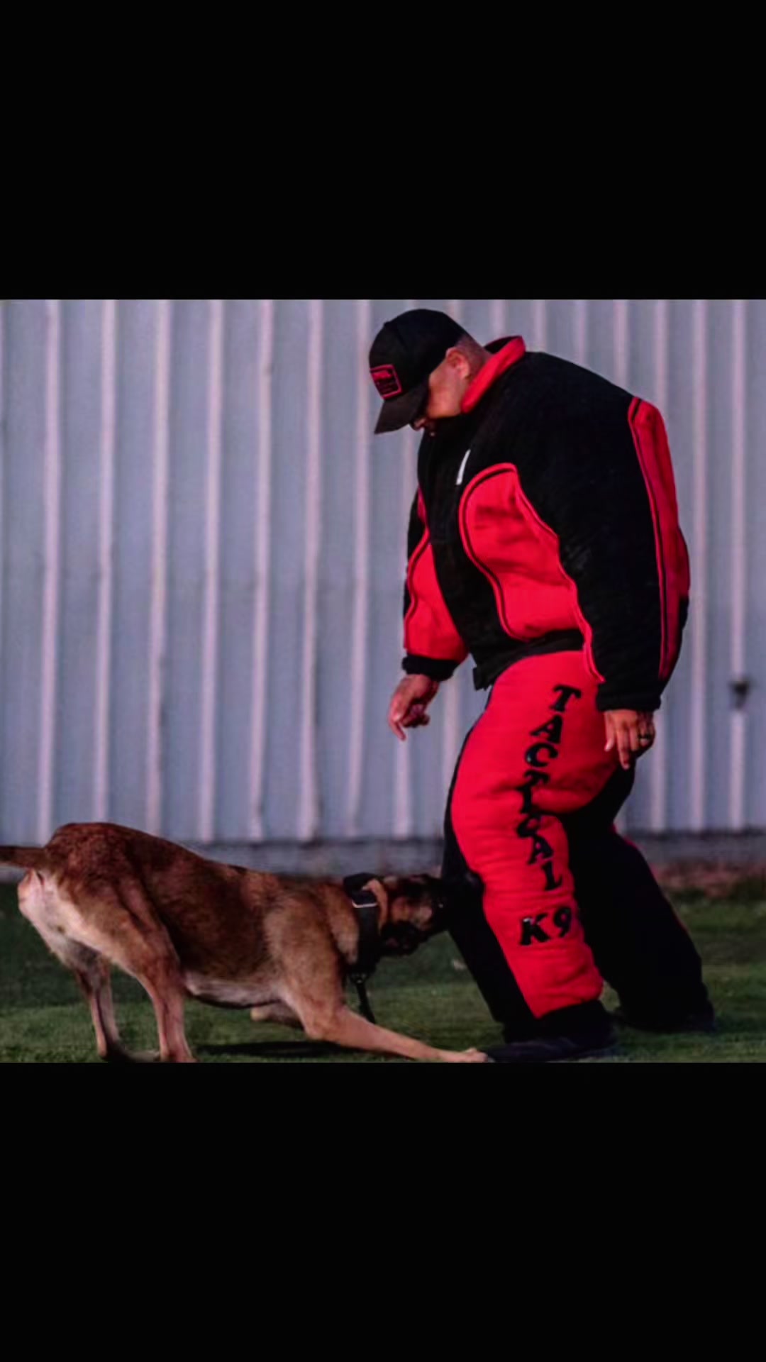 @Tactical K9s Dog Training