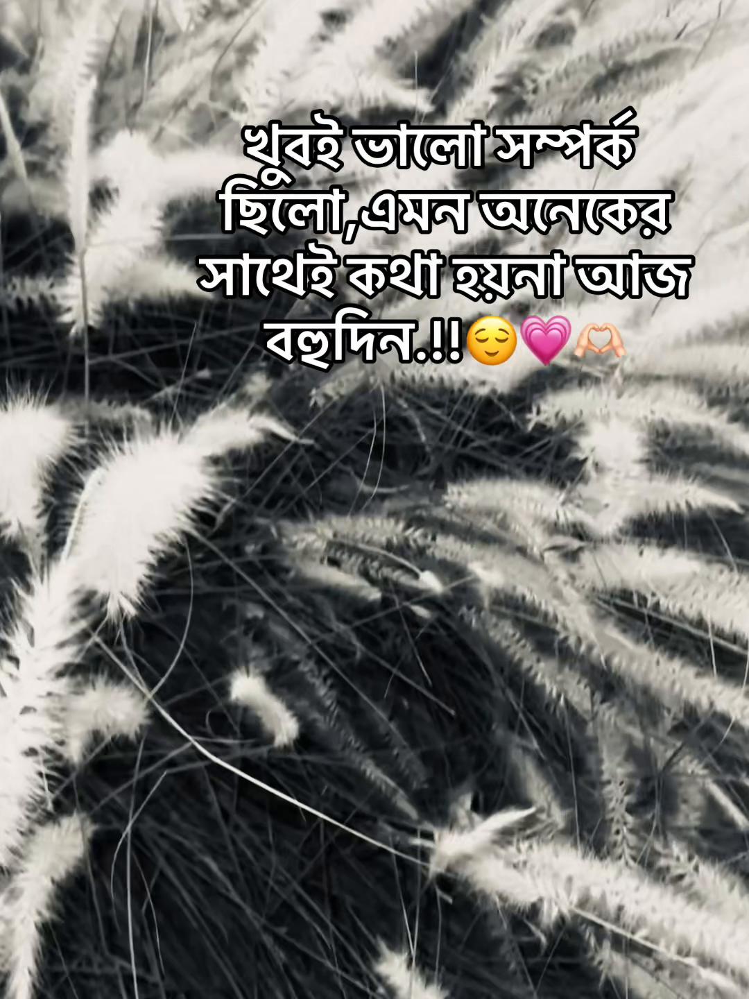 @đ¸đĻSUMON īŖŋ