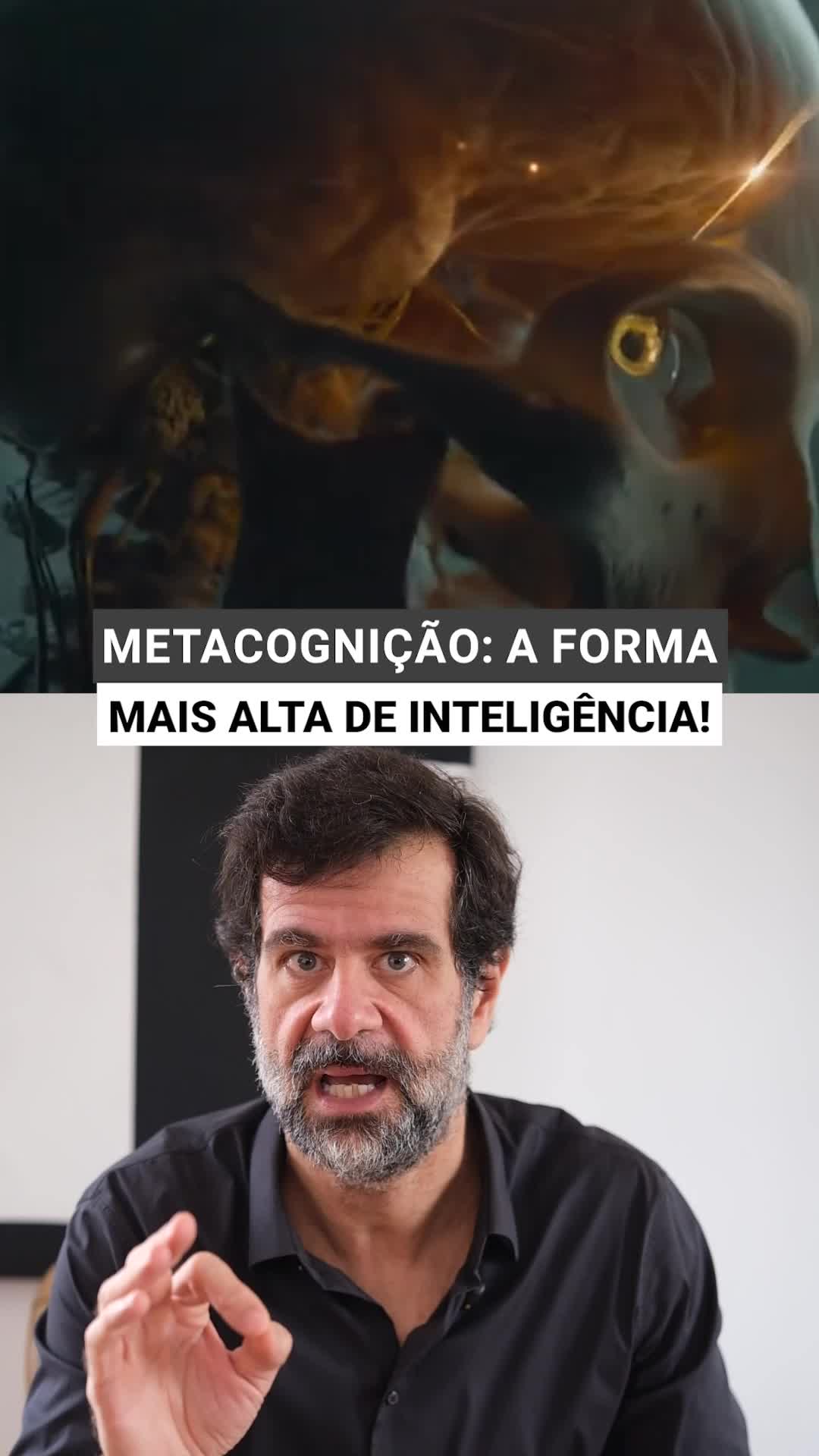 @João Guilherme Amatti