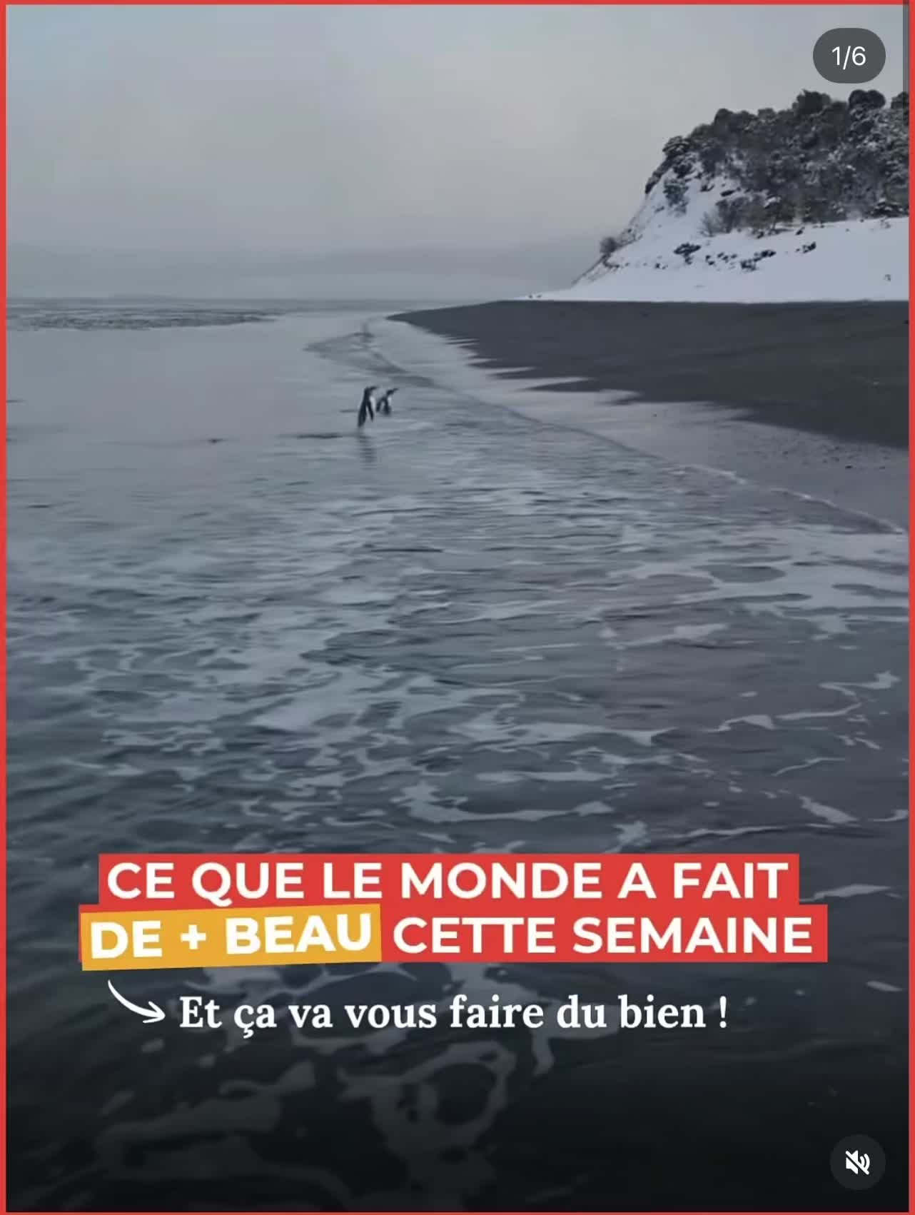 @gaspard_nv12