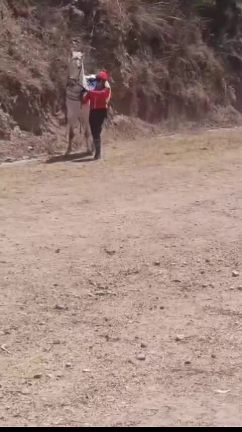 @KatyGütïërrëz:)♥️🏇
