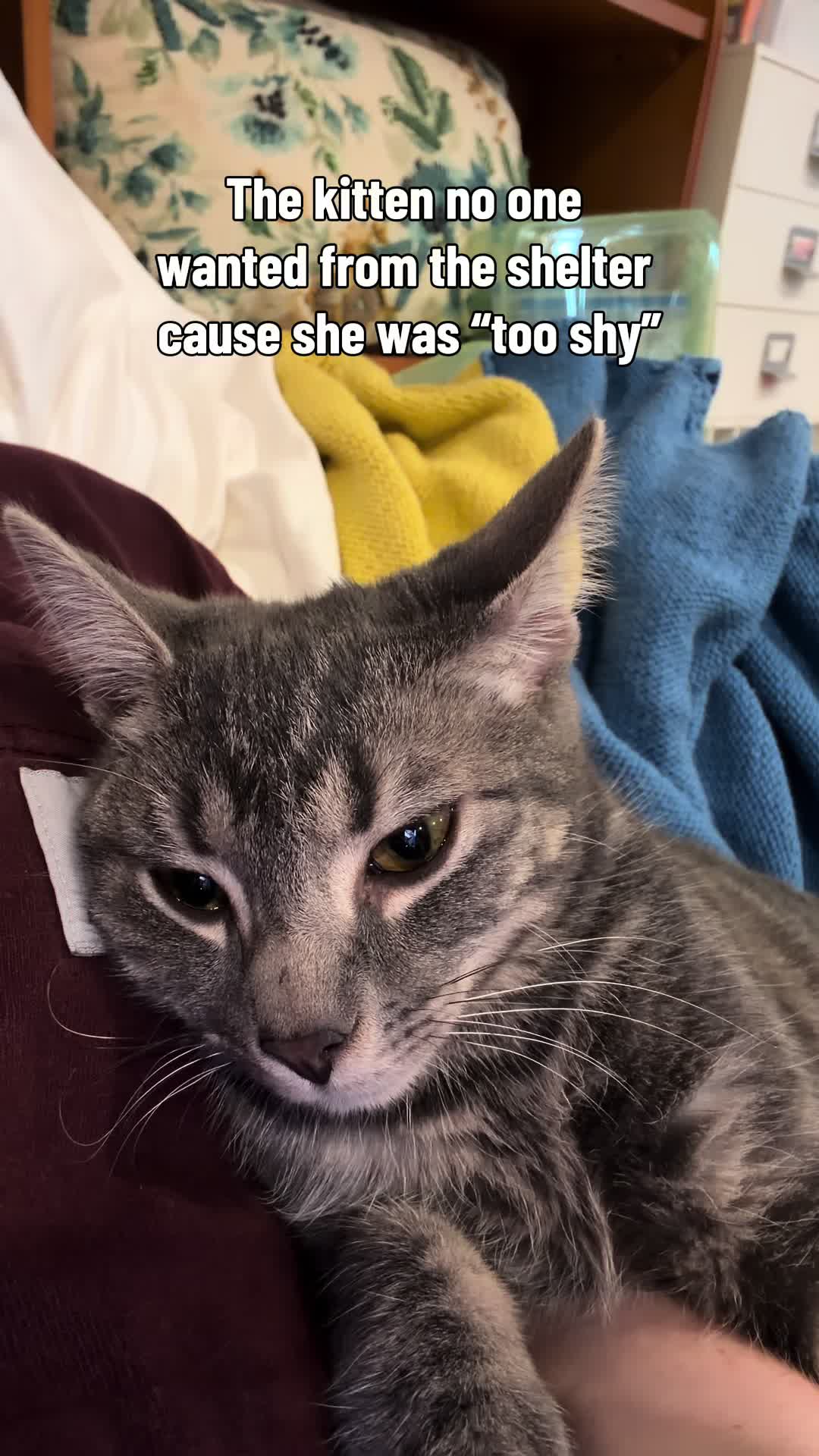 @KittyUsurper