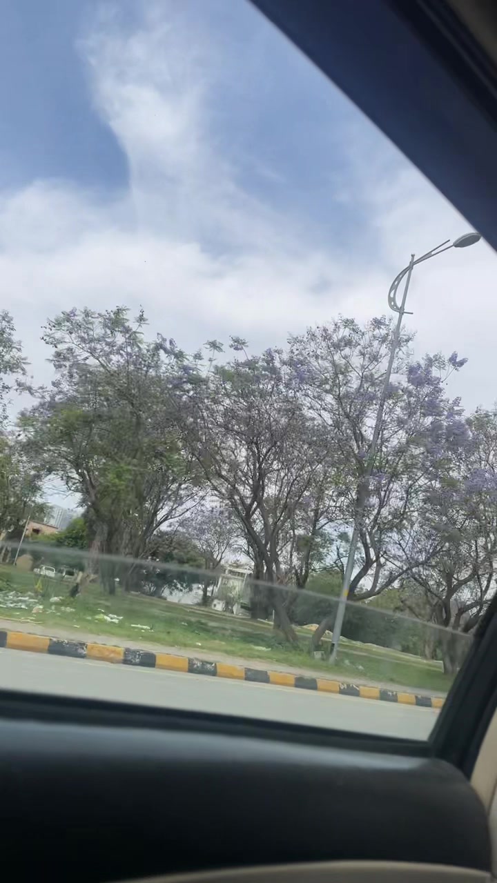 @S:K🦋🌻