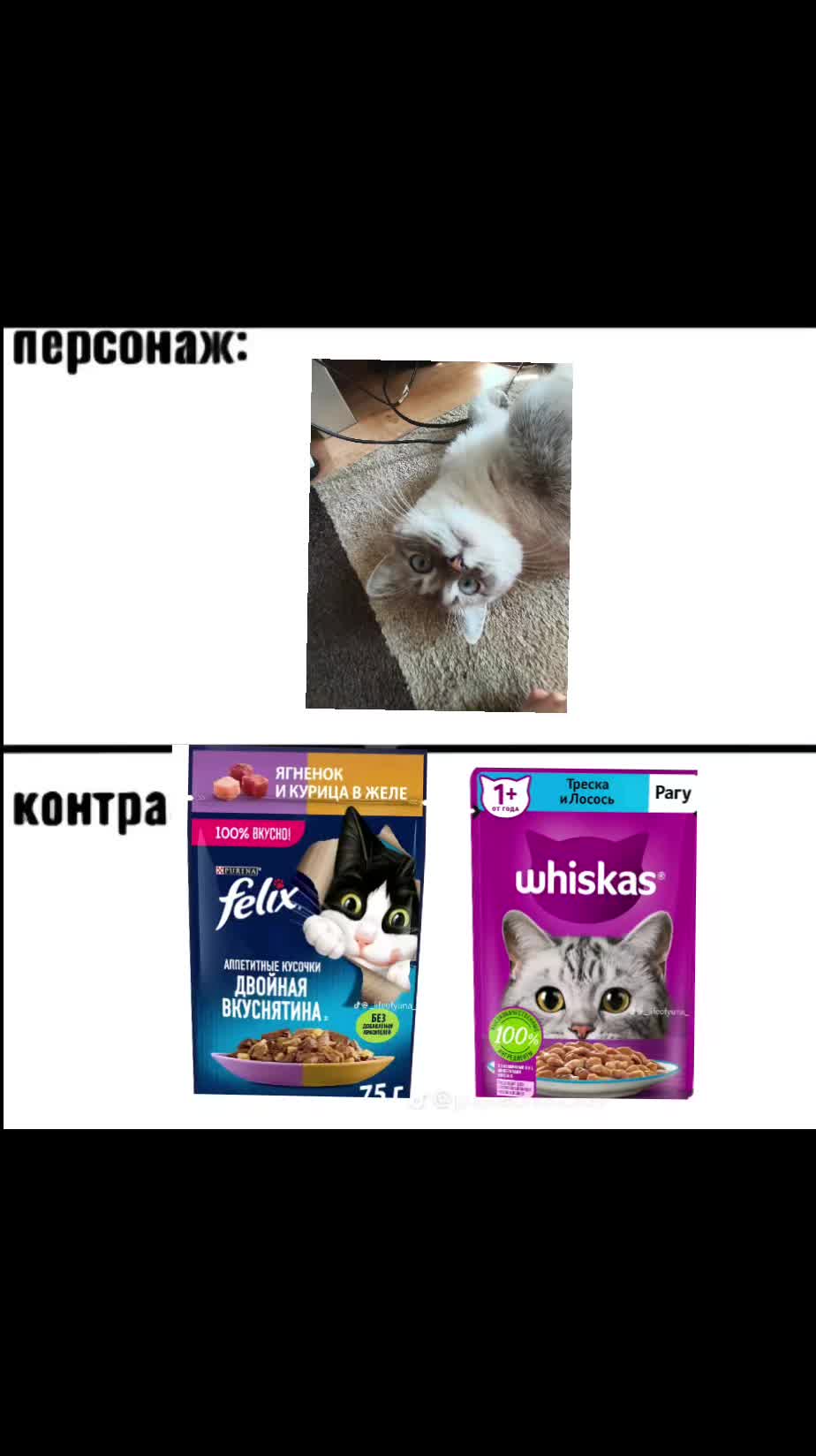 @๐ะผะฐััะธ67๐