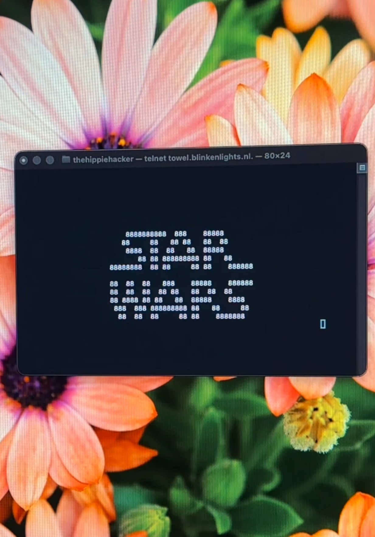 @Madi | The Hippie Hacker