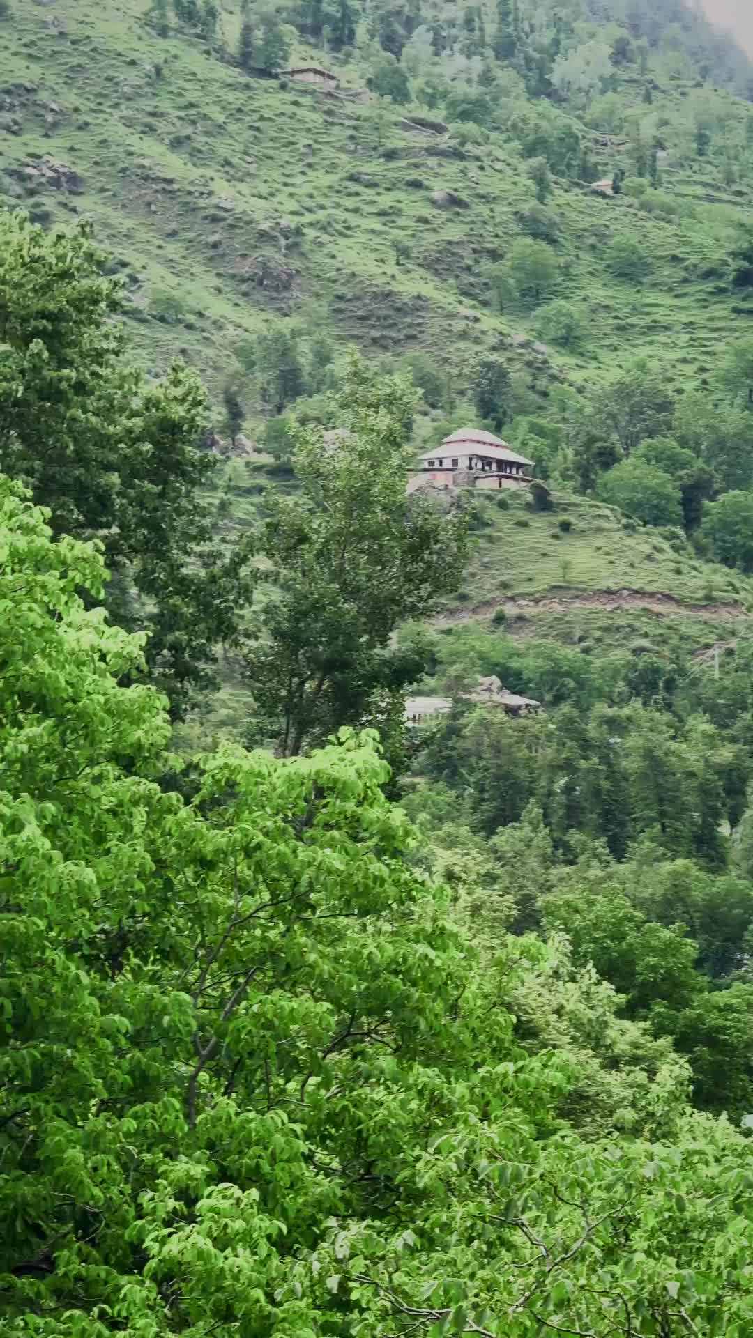 @Waqar■Ahmed■Butt