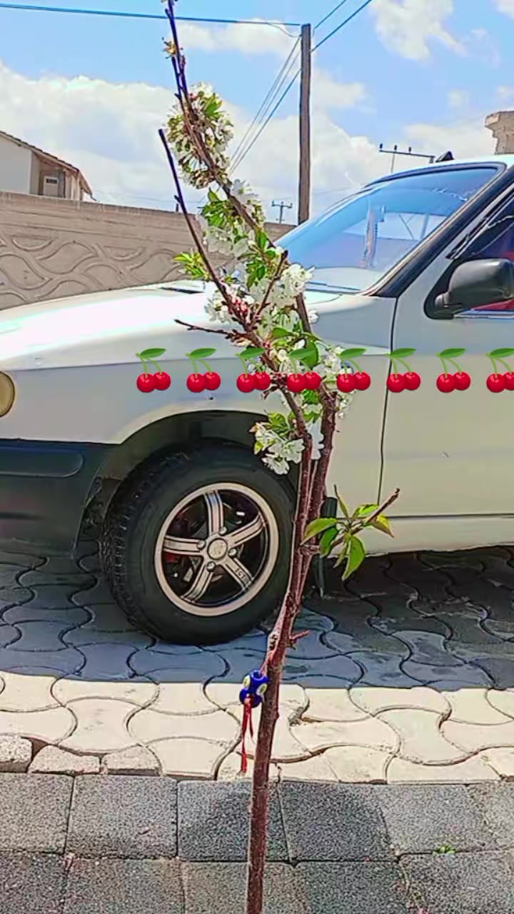 @24_10 2025 polat göçer