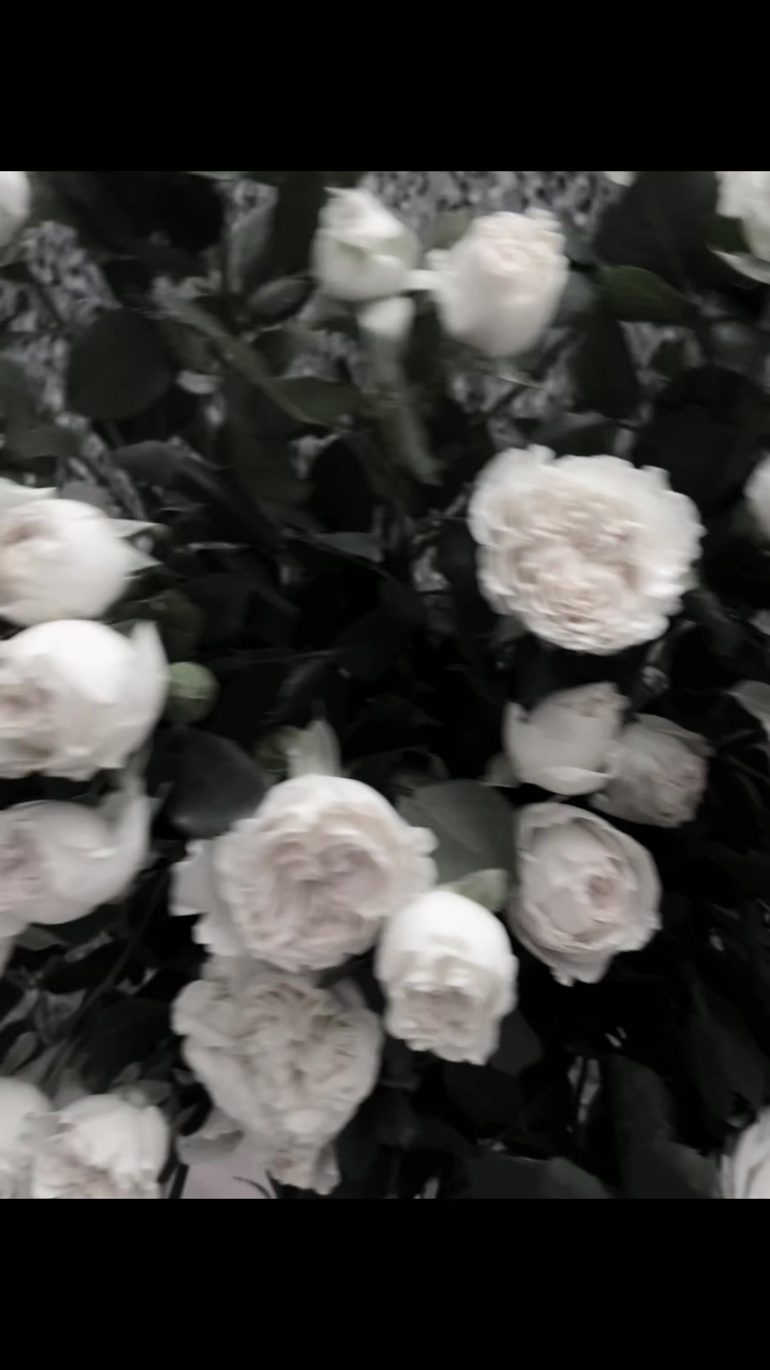 @dina_01047