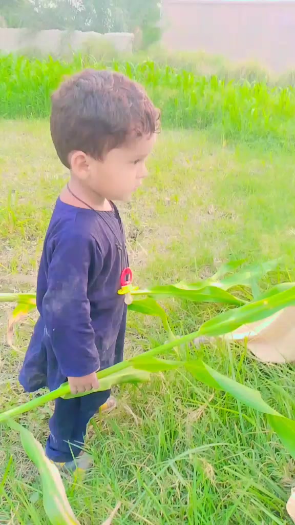 @جمیل احمد