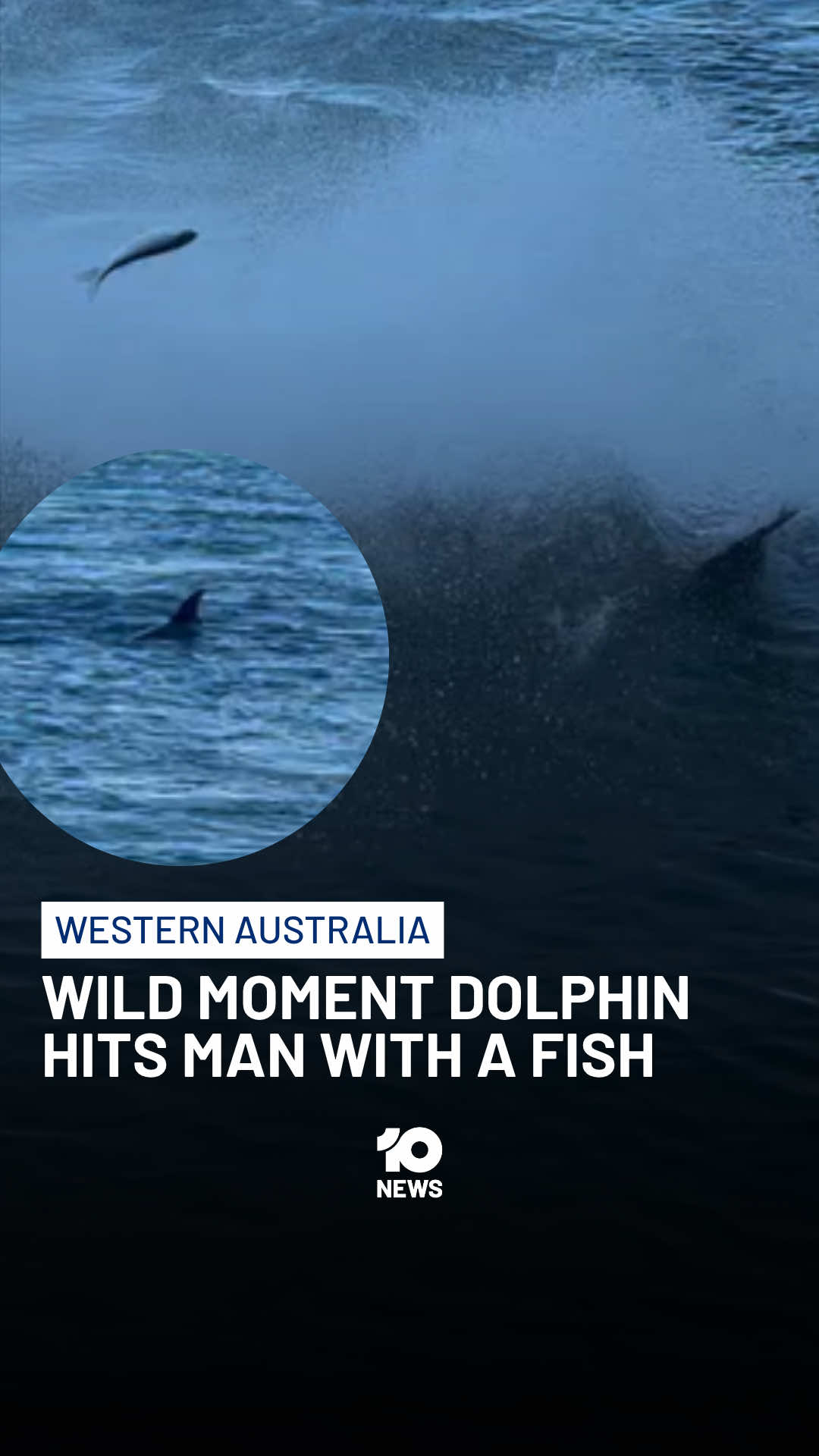@10 News
