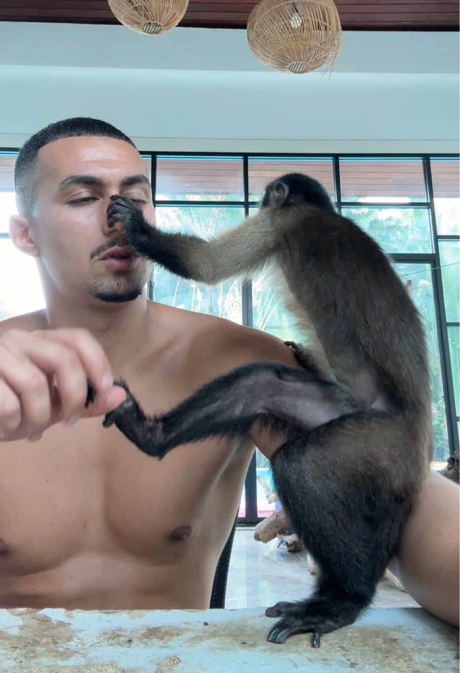 @Tarzane 🦍