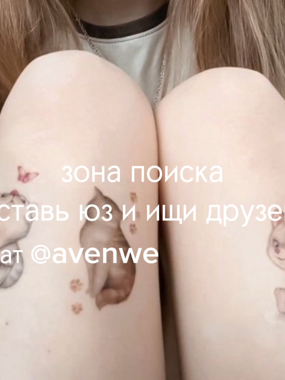 @avenew чат