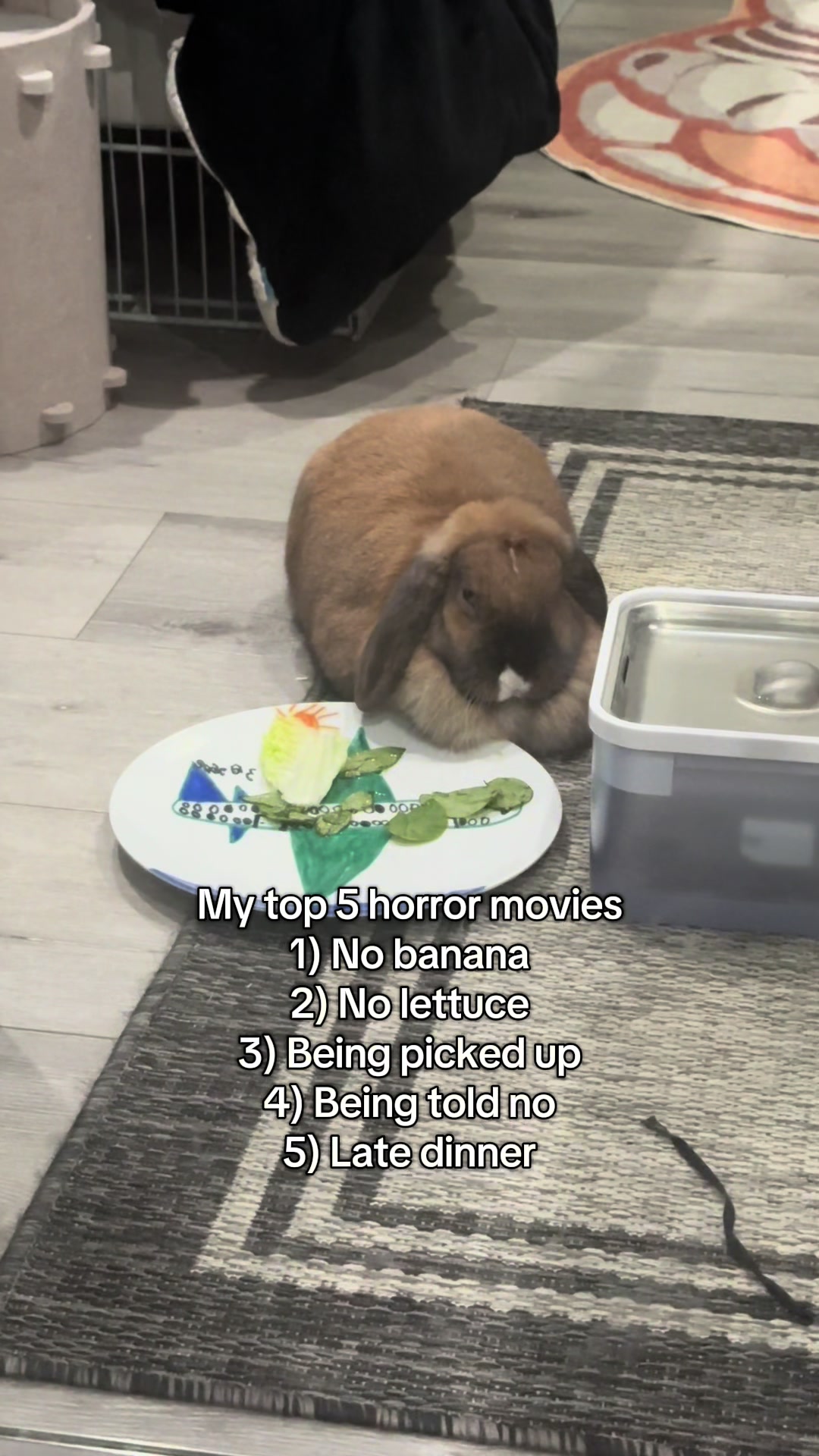 @honeythebunny24