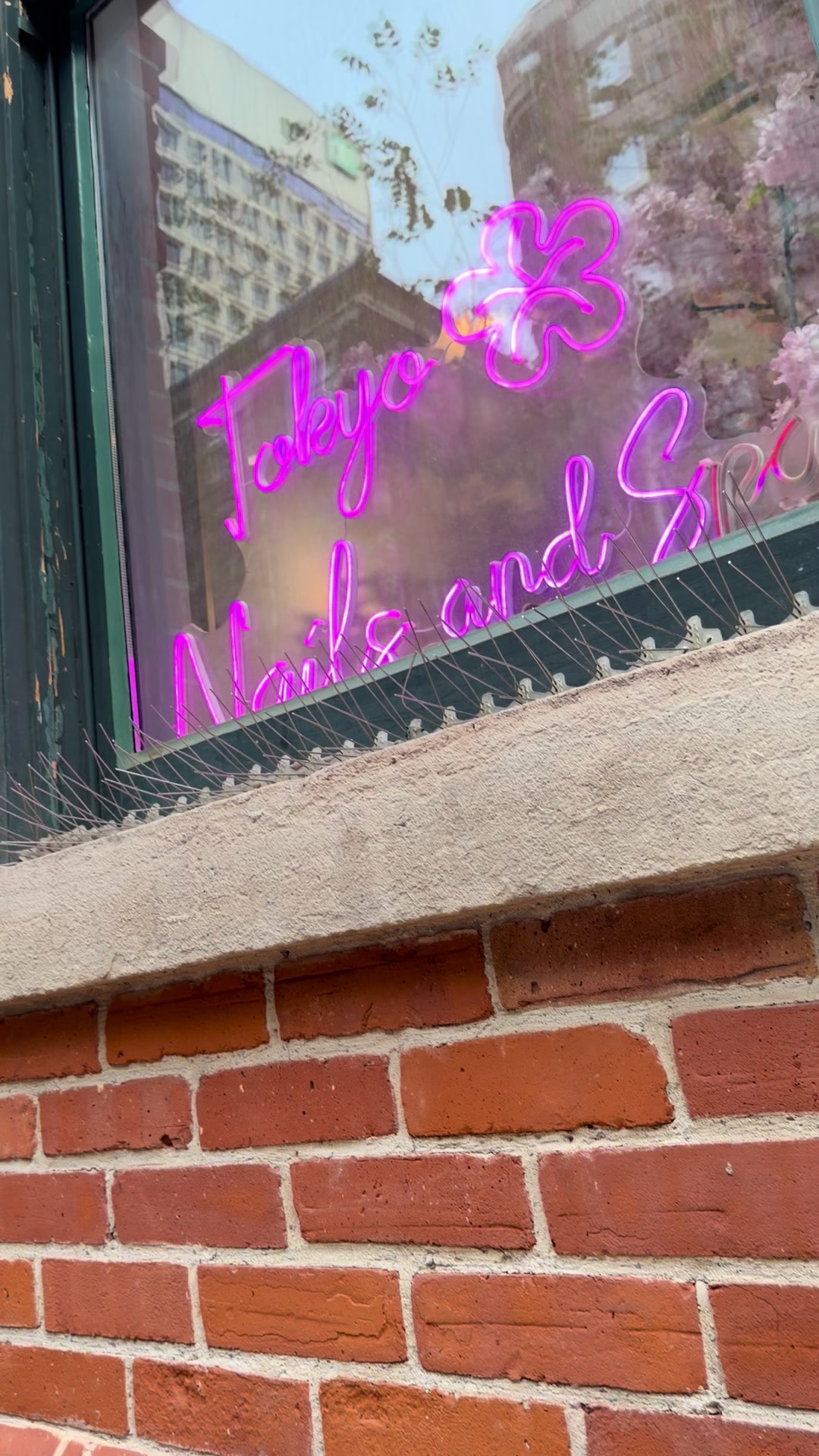 @Roxy