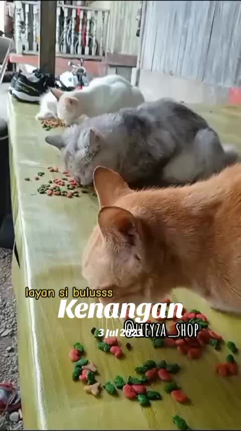 @Lieyza Sulaiman