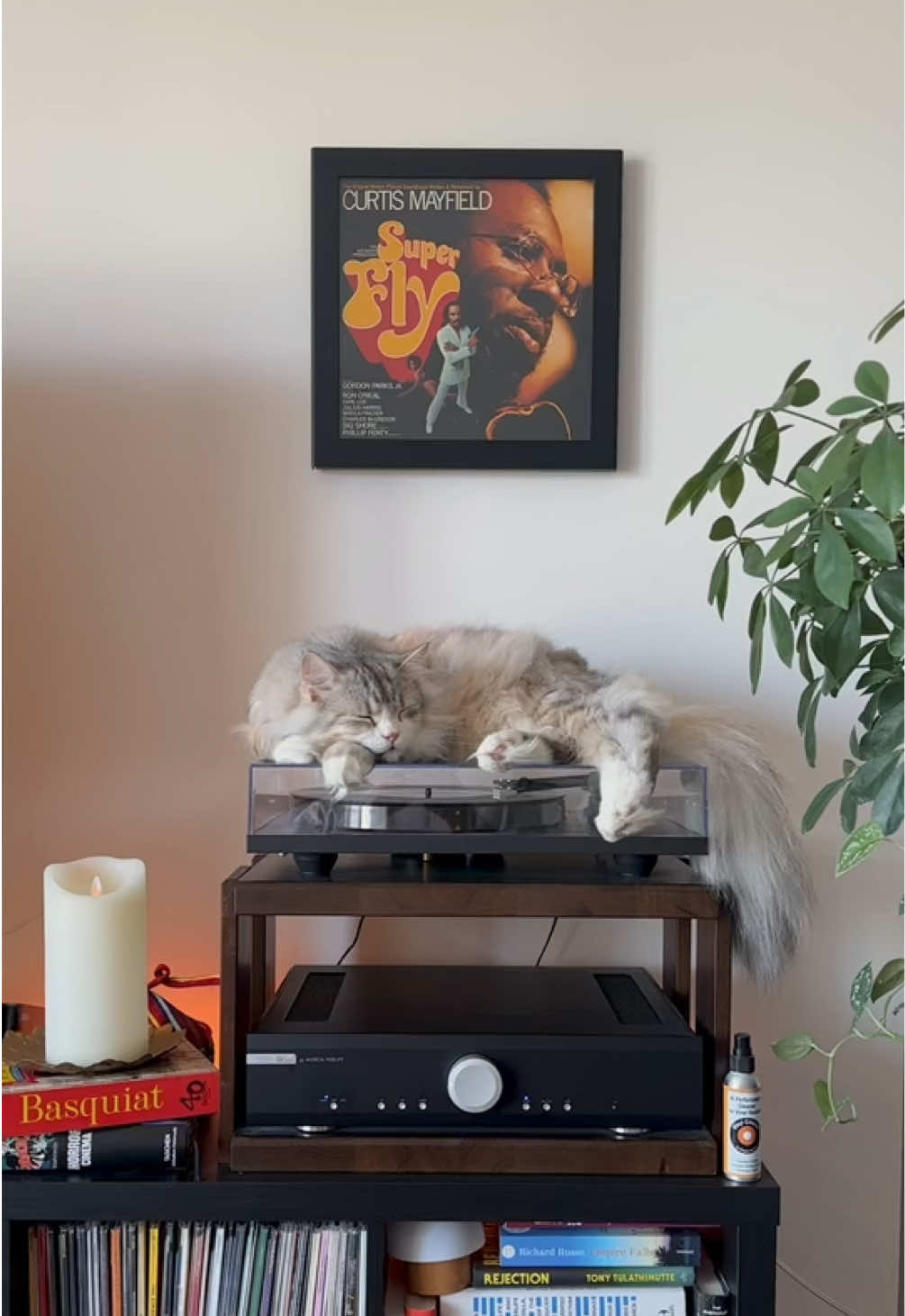 @Leon The Vinyl Cat