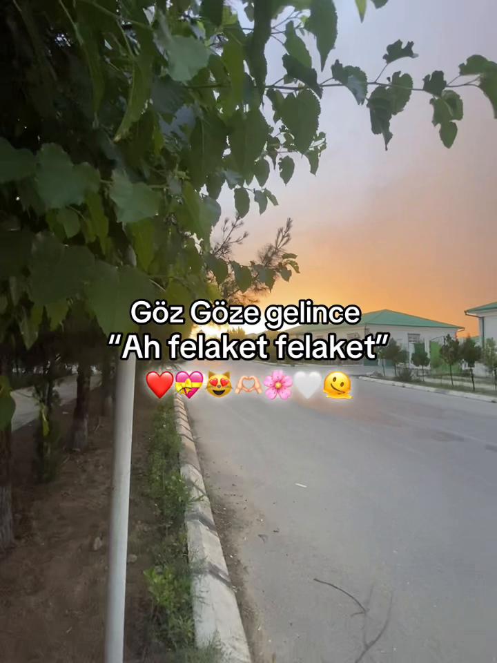 @ℬℯ𝑔ℴ𝓈𝒽𖣂🇹🇷