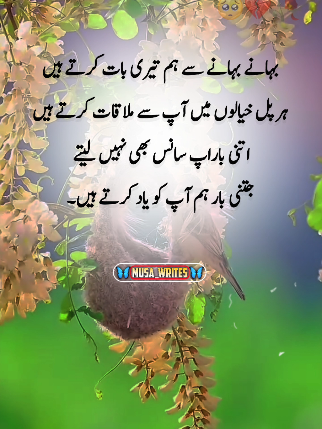 @𝙈𝙪𝙨𝙖_𝙬𝙧𝙞𝙩𝙚𝙨_𝟬𝟭❤🩹