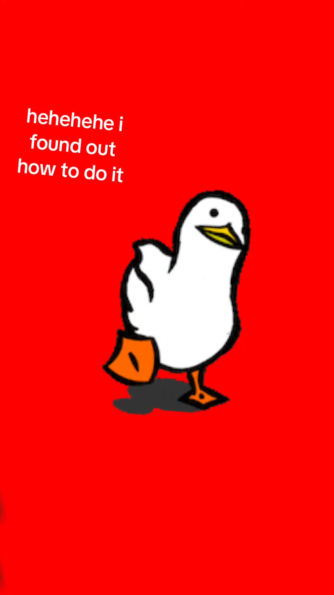 @Moo_<3fun