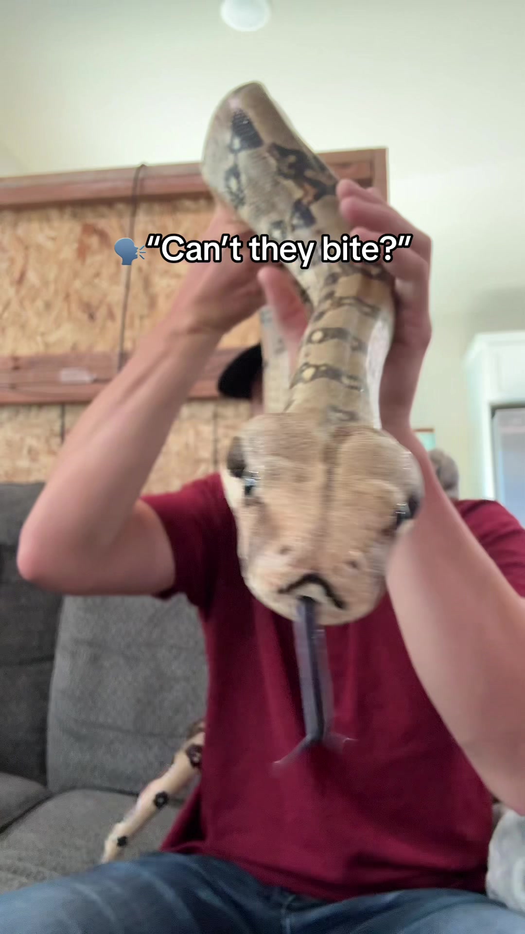 @That Reptile Guy