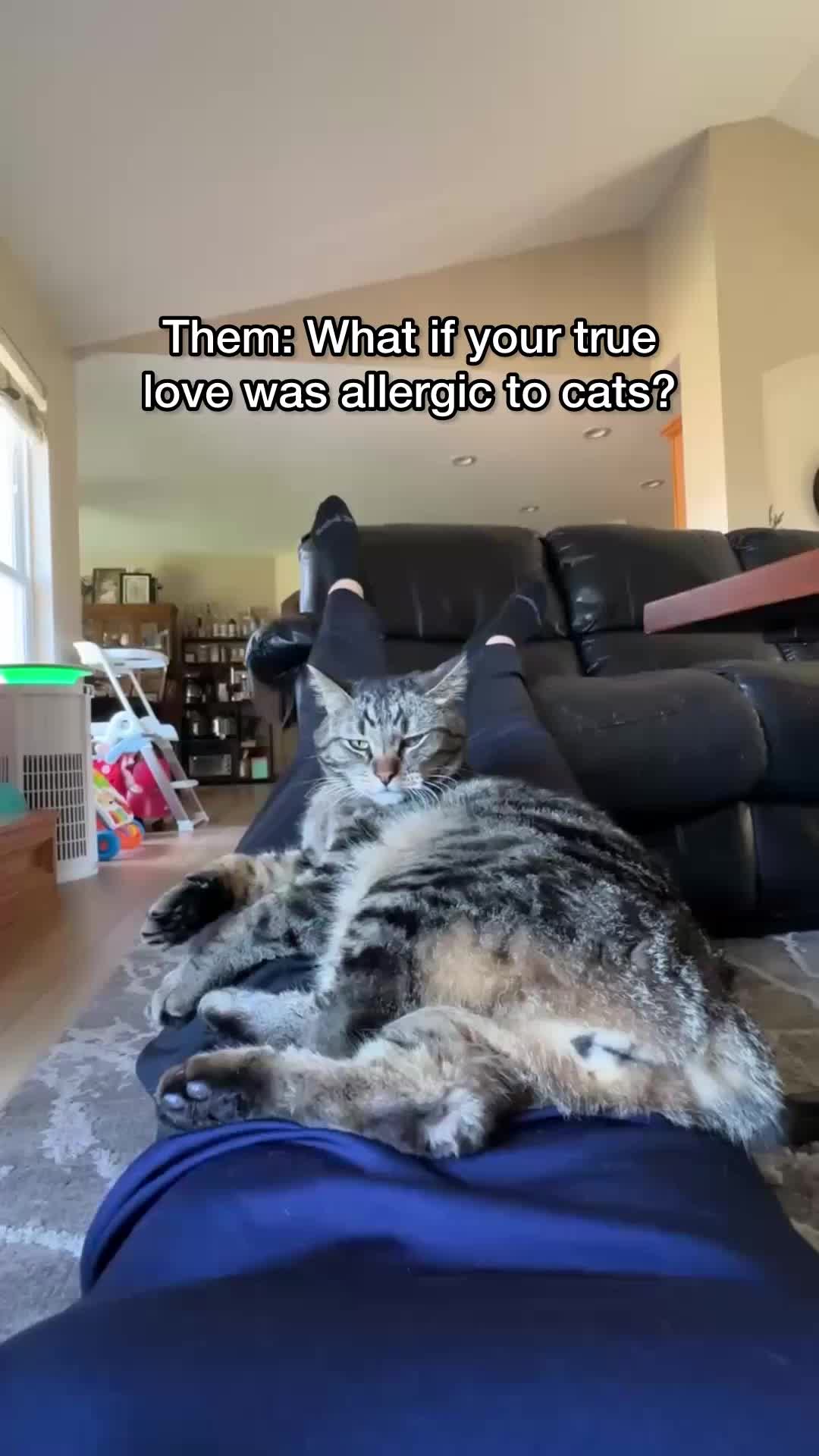 @Chip The Manx