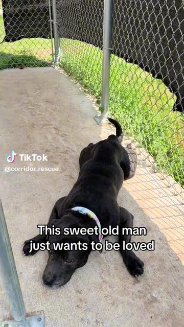 @Corridor Rescue Inc.