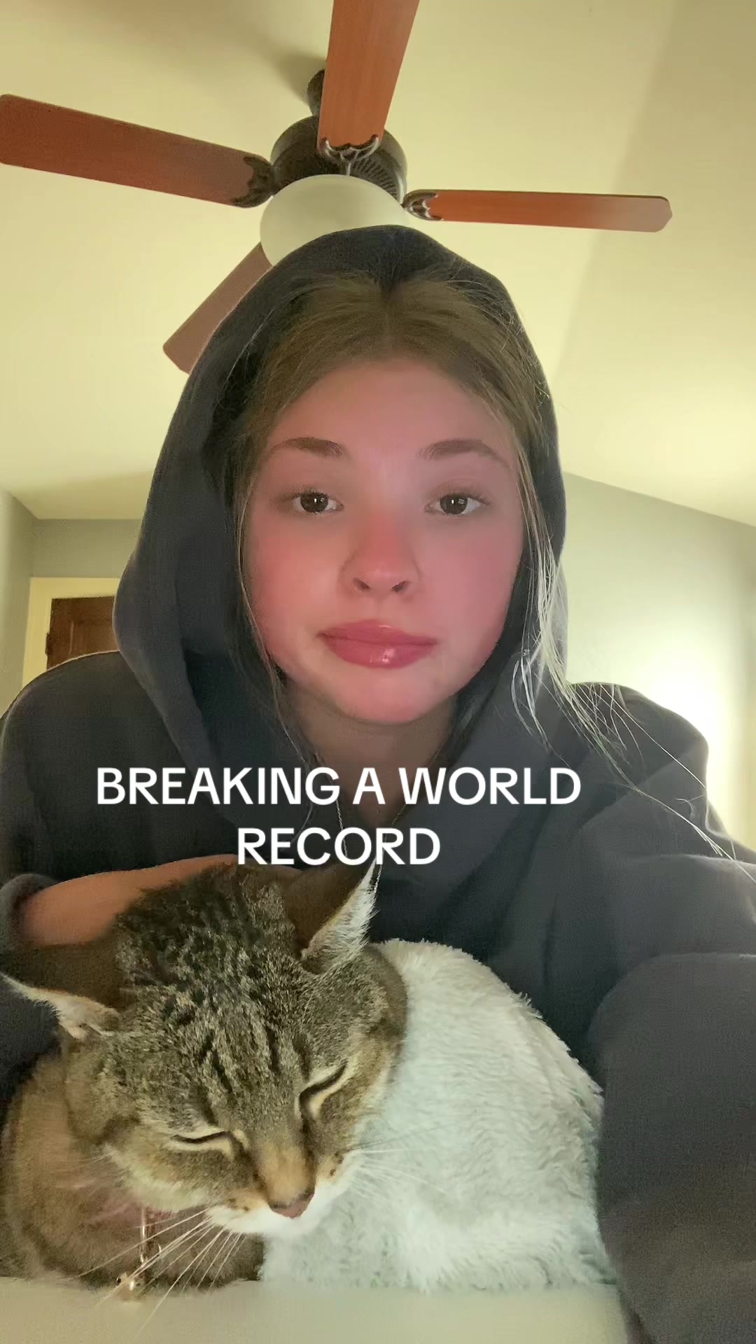 @lauren