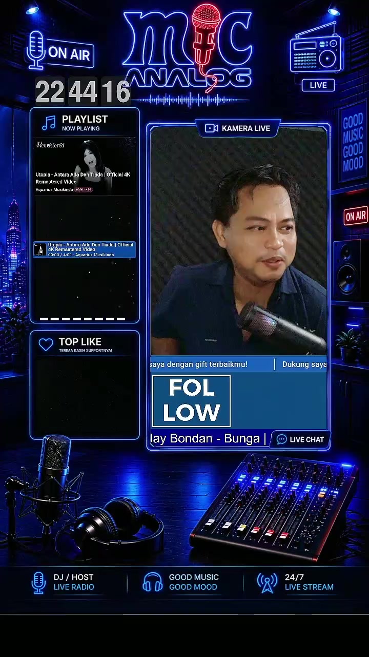 @mic analog