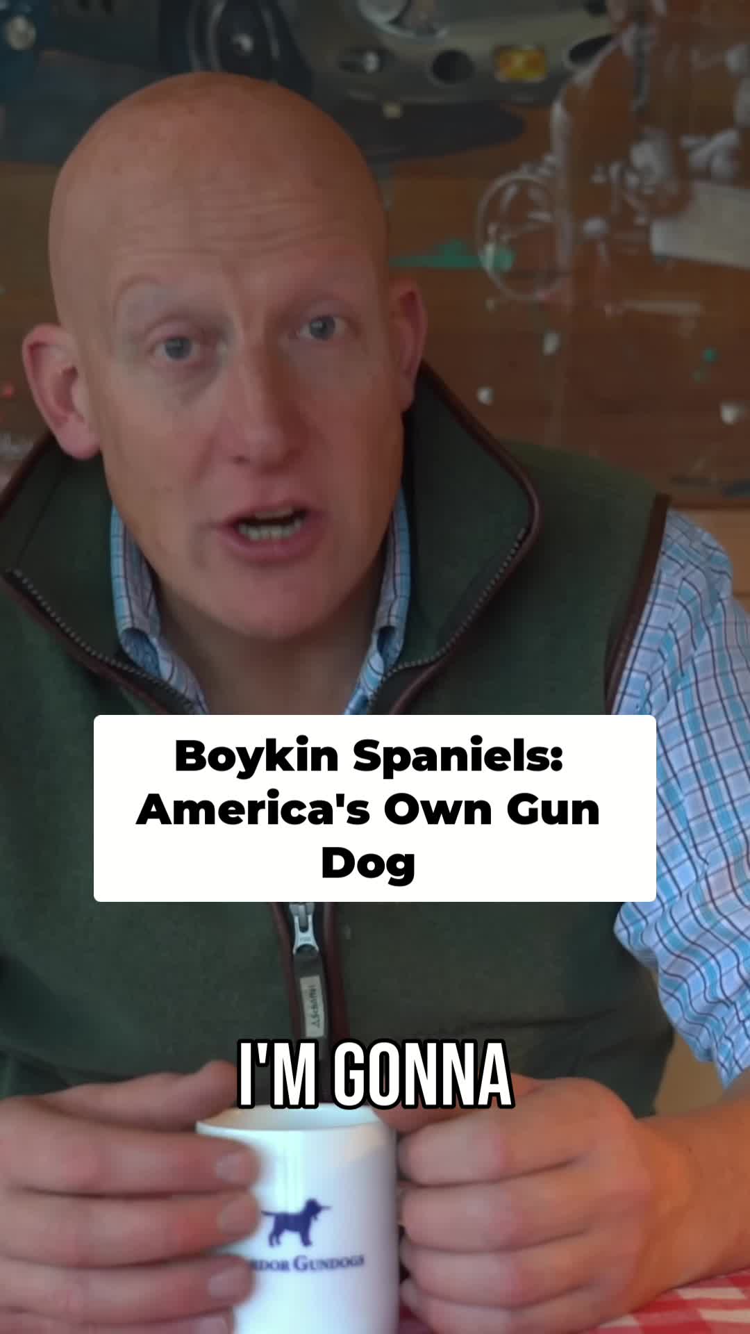 @Mordor Gundogs