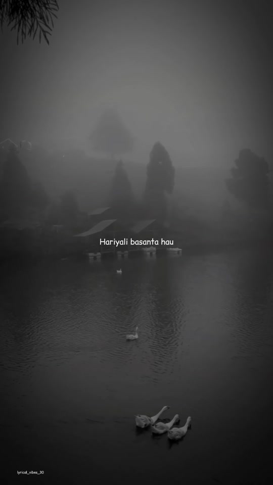 @๐๐ฒ๐ซ๐ข๐๐๐ฅ ๐๐ข๐๐๐ฌ