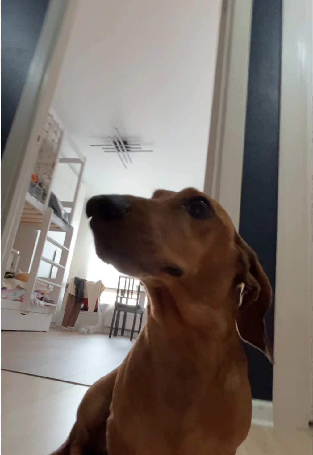 @хз♻️