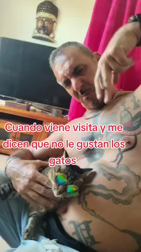 @Sra.Gato