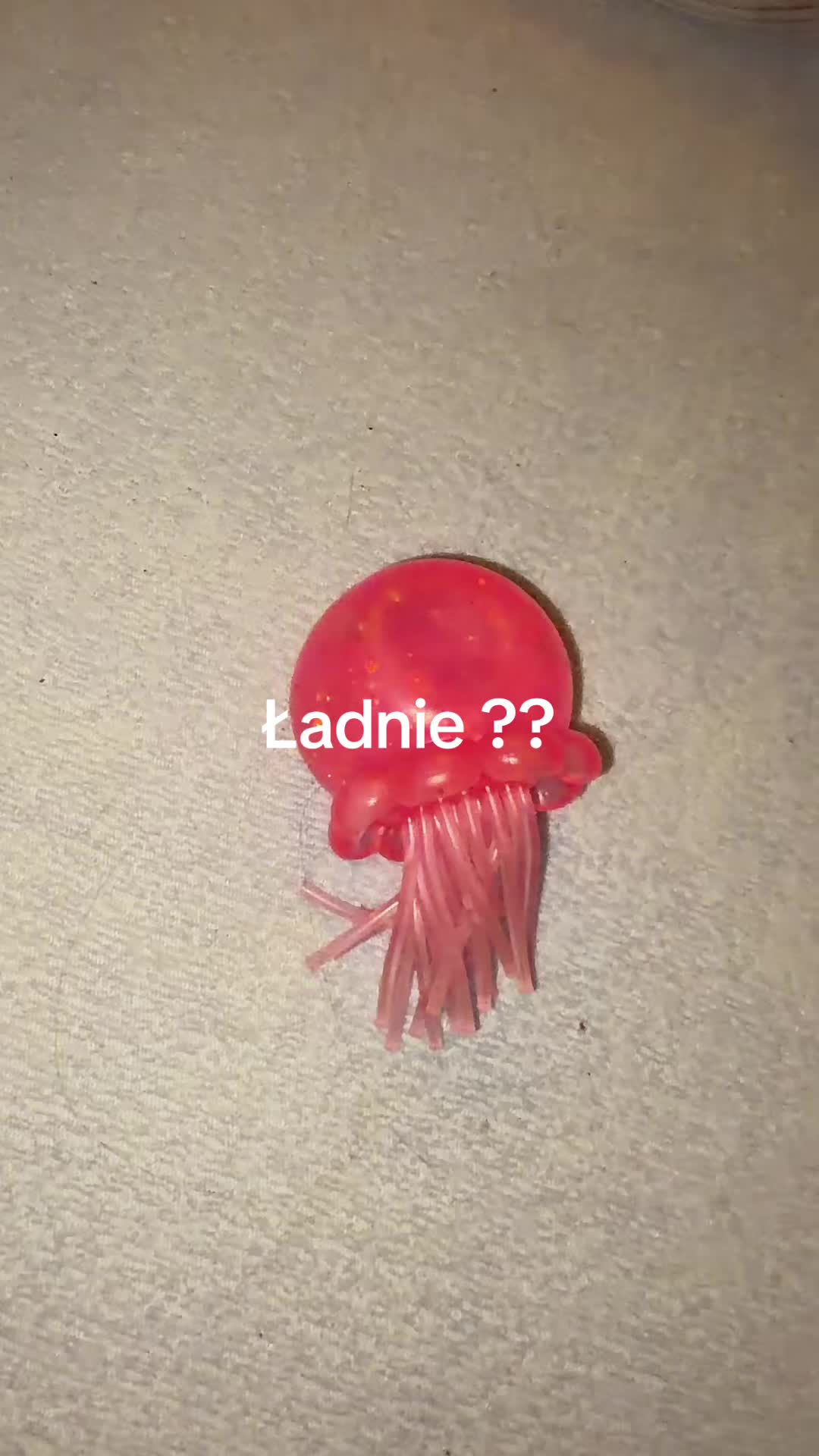 @🐢kocham żółwie🐢