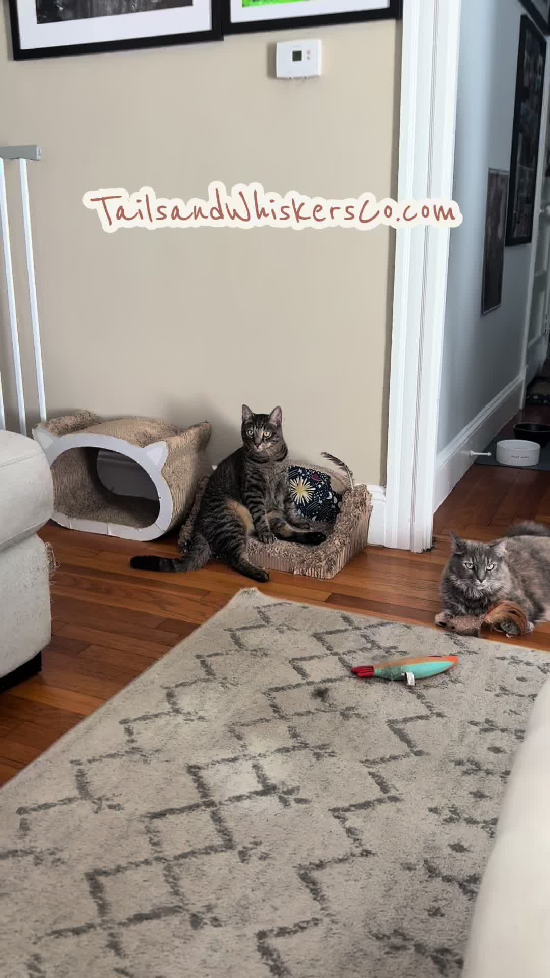 @TailsandWhiskersCo