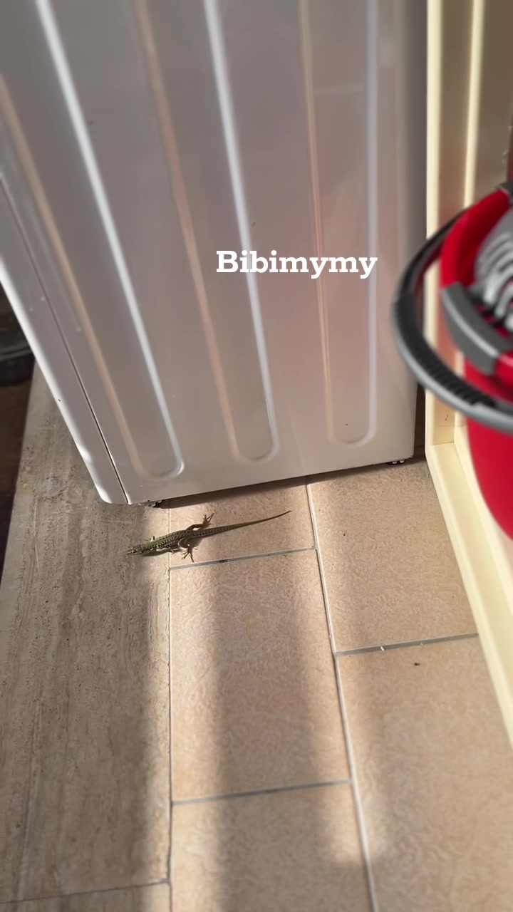 @Bibimymy