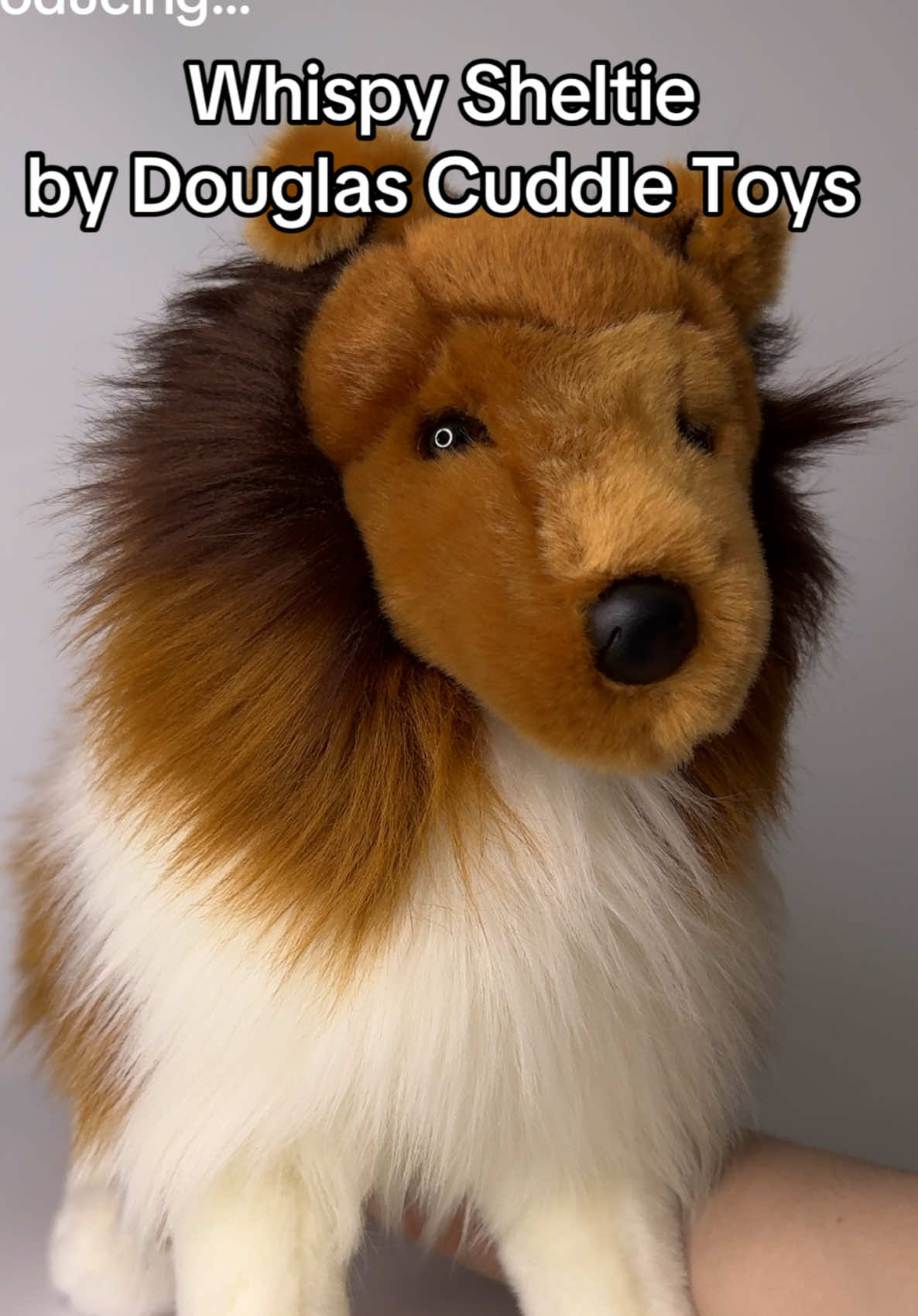 @Wonder Wolf Plush