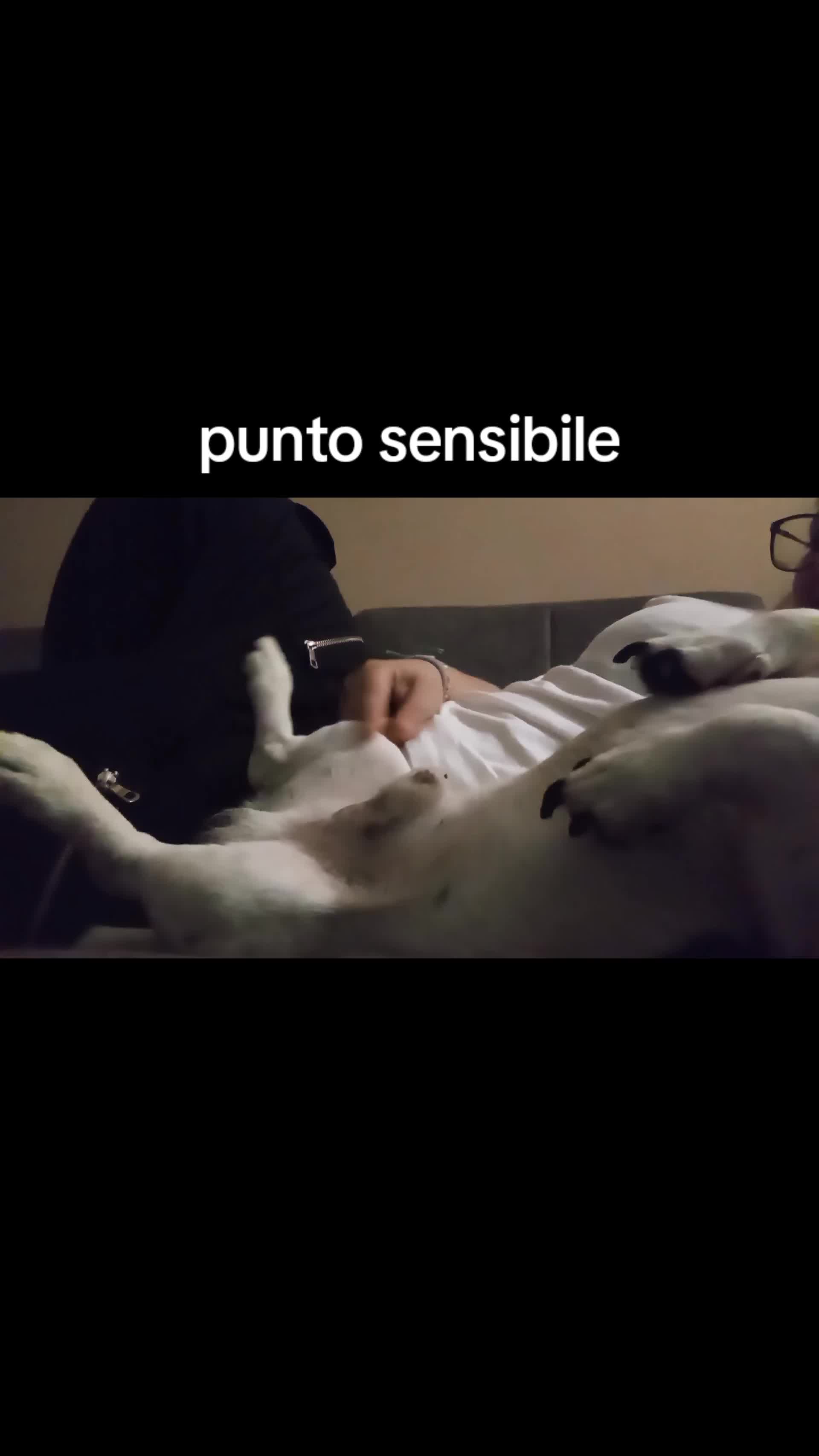 @dylan e diesel