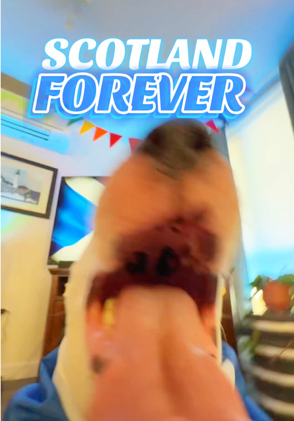 @Mister Mainer